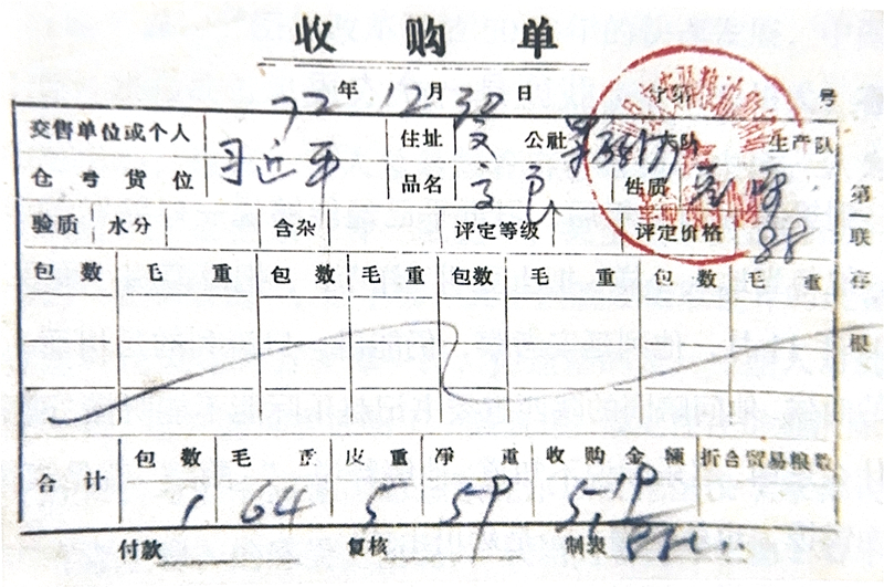 1972年12月30日，習(xí)近平交售了59斤公糧的收購單。