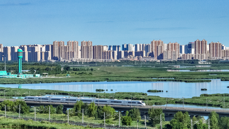 2025年8月17日，一列動(dòng)車組列車駛過大慶東站。