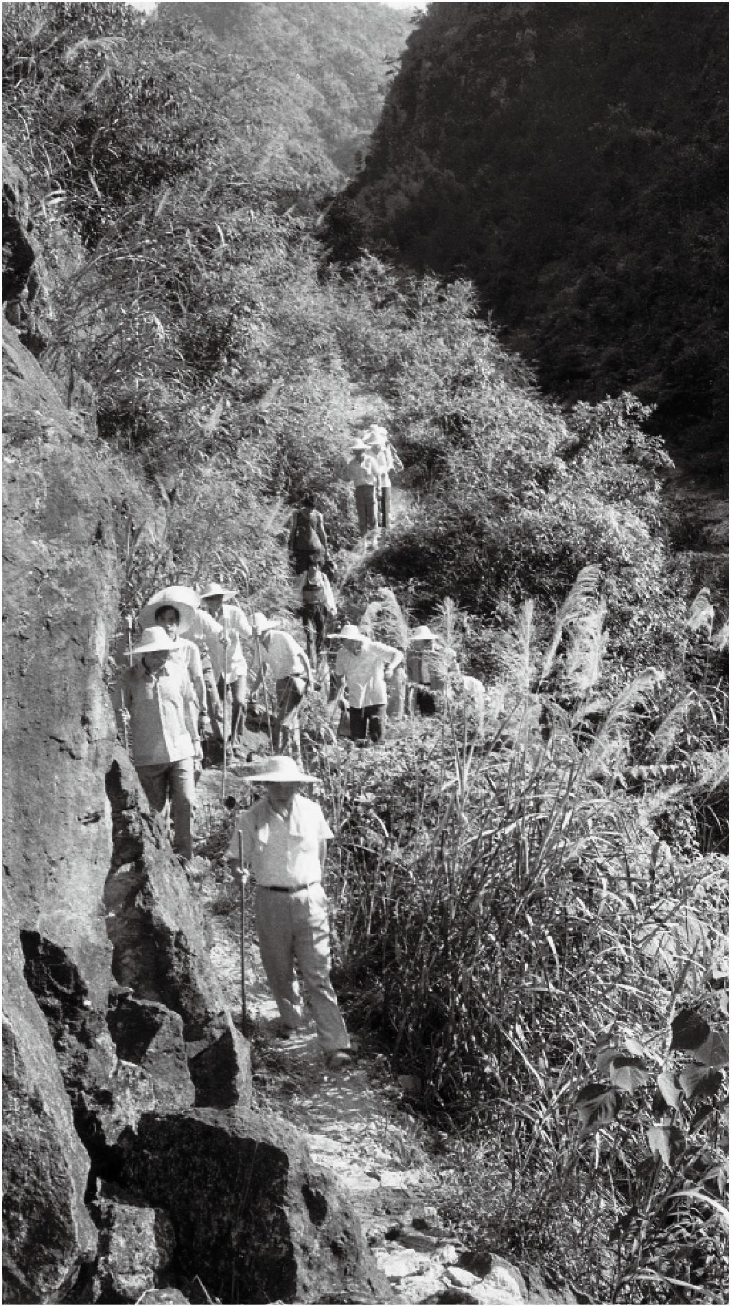 1989年7月，習(xí)近平一行到壽寧縣下黨鄉(xiāng)調(diào)研。