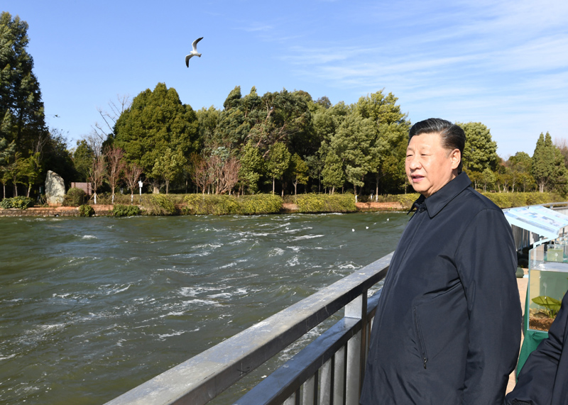 2020年1月20日下午，習(xí)近平總書記在云南昆明滇池星海半島生態(tài)濕地考察調(diào)研。