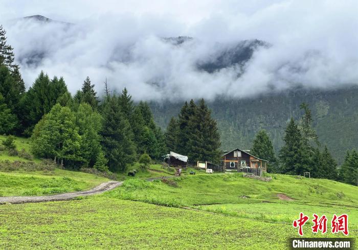 6月10日，魯朗小鎮(zhèn)高山牧場景區(qū)風(fēng)光?！∪轿木?攝