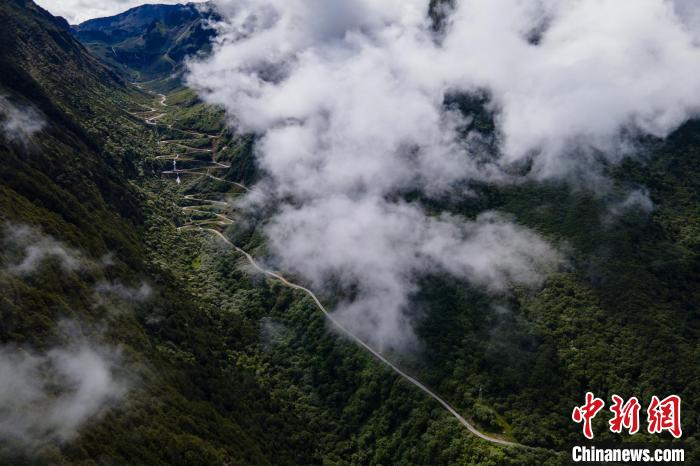 西藏山南勒布溝景區(qū)的盤山公路被云霧環(huán)繞?！〗w波 攝