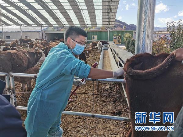 （決戰(zhàn)決勝脫貧攻堅(jiān)·圖文互動(dòng)）（2）脫貧“不暫停” 服務(wù)“不打烊”——天津通過(guò)“云端”幫扶為甘肅受援地區(qū)戰(zhàn)貧繼續(xù)助力