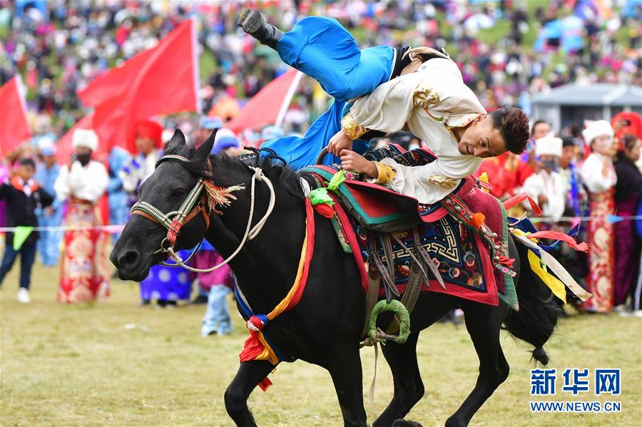 (文化)(3)歡聚草原“香巴拉”