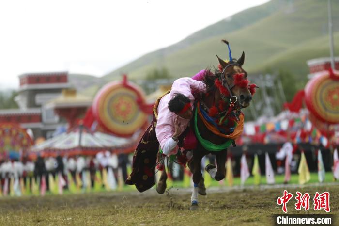 青海玉樹：70年，幸福生活如格桑花綻放