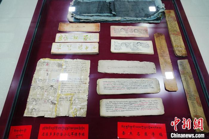 圖為藏醫(yī)古集文獻和藏醫(yī)臨床原始手稿?！●R銘言 攝
