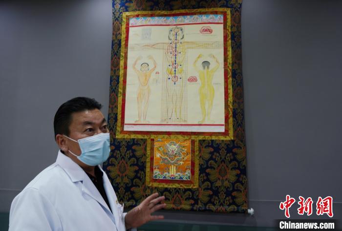 圖為興?？h藏醫(yī)院院長介紹藏醫(yī)四部醫(yī)典詳實圖?！●R銘言 攝