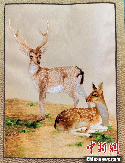 圖為藏繡作品?！∑钤鲚?攝