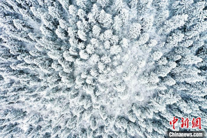 壤塘的雪后美景?！∪捞量h融媒體中心供圖