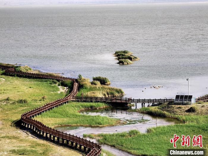 圖為都蘭湖國家濕地公園觀光棧道?！∑钤鲚?攝
