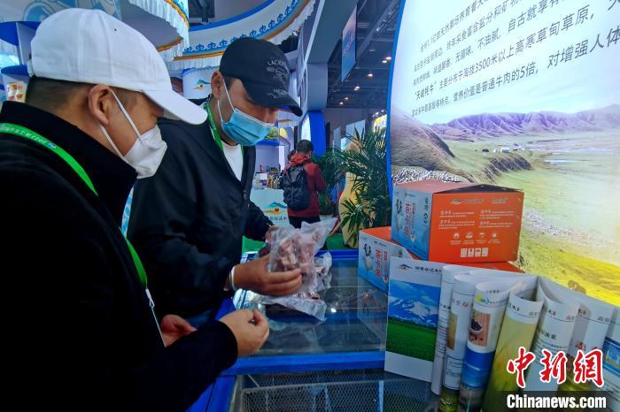 圖為青海參展商整理牛羊肉?！±铍h 攝