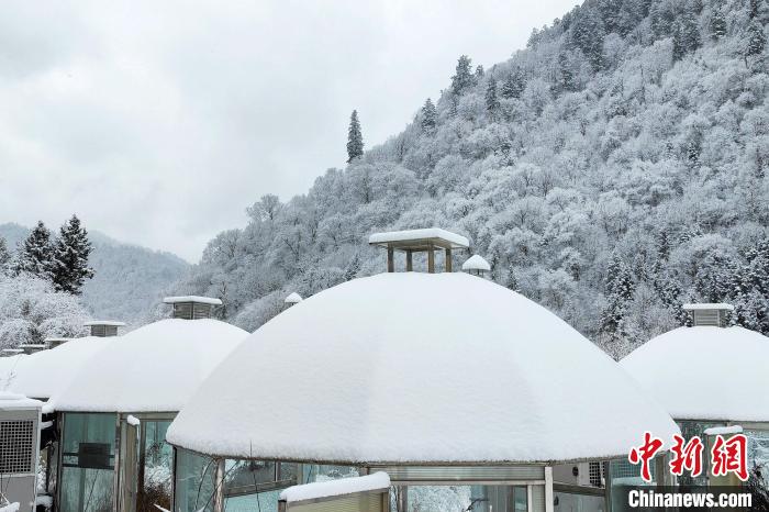大熊貓國(guó)家公園王朗片區(qū)春雪如畫，宛若仙境?！×_春平 攝