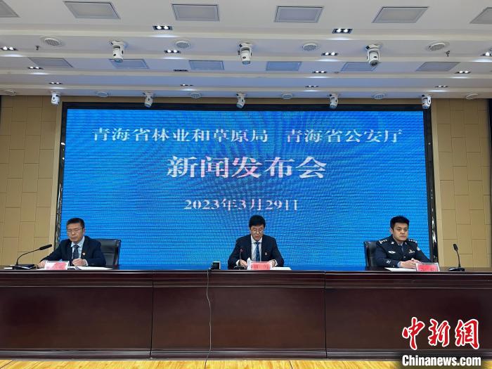 青海去年占用林地、草地準(zhǔn)予許可件同比實現(xiàn)“雙減”