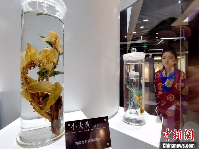青海中藏醫(yī)藥發(fā)展提速：建設(shè)一批重點(diǎn)?？茖W(xué)科，推廣一批適宜技術(shù)