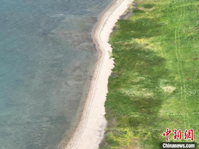 圖為航拍仲夏時節(jié)，青海湖畔綠茵如毯?！∑钤鲚?攝