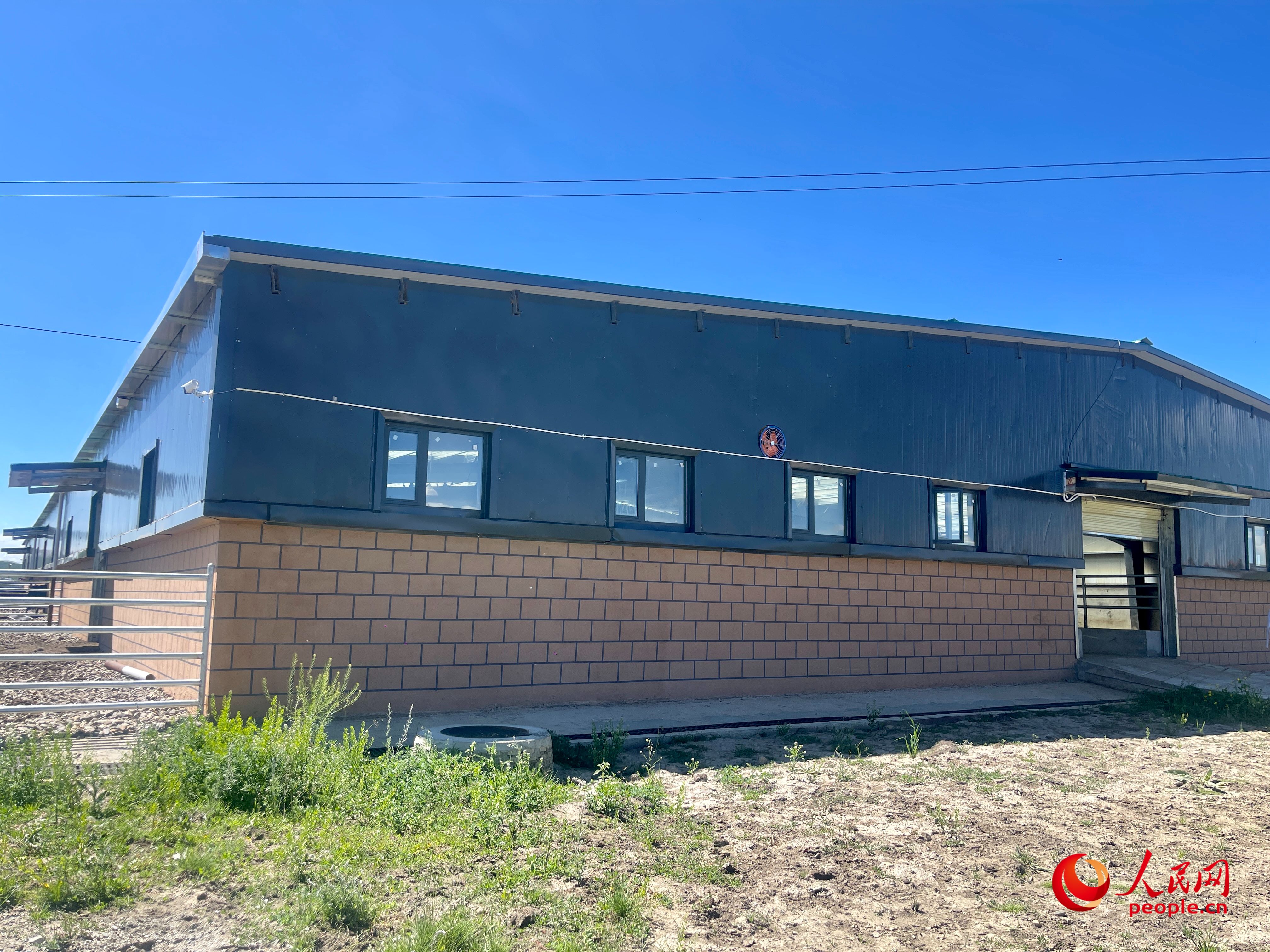 唐日合作社。人民網(wǎng) 周靜圓攝