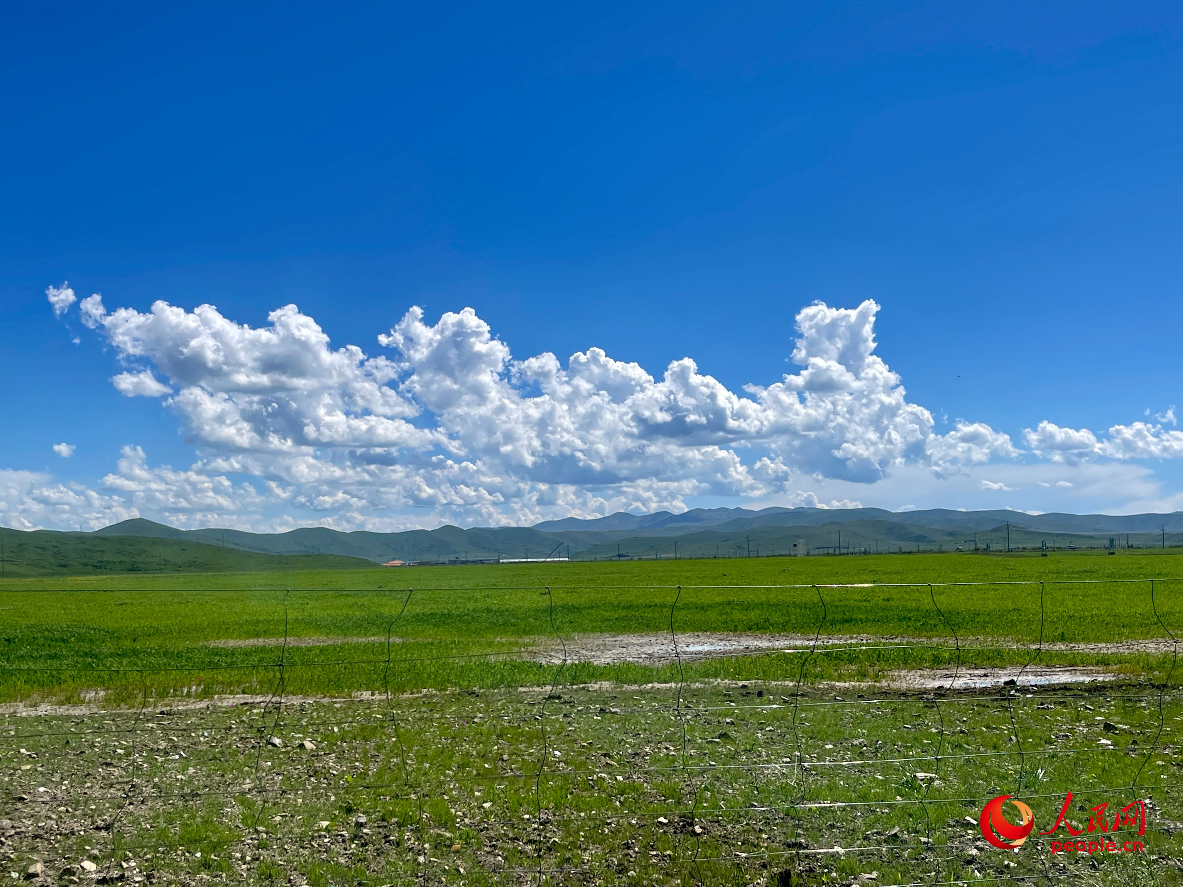唐日合作社附近，藍(lán)天白天、綠草如茵。人民網(wǎng) 周靜圓攝