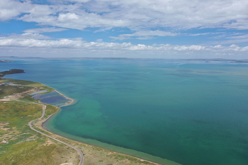 大自然的生態(tài)美學(xué)！黃河源園區(qū)哪一抹色彩最讓你心動？