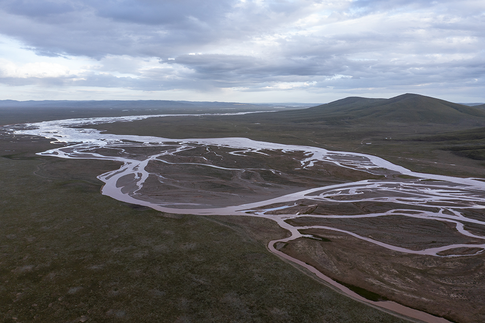 大自然的生態(tài)美學(xué)！黃河源園區(qū)哪一抹色彩最讓你心動？