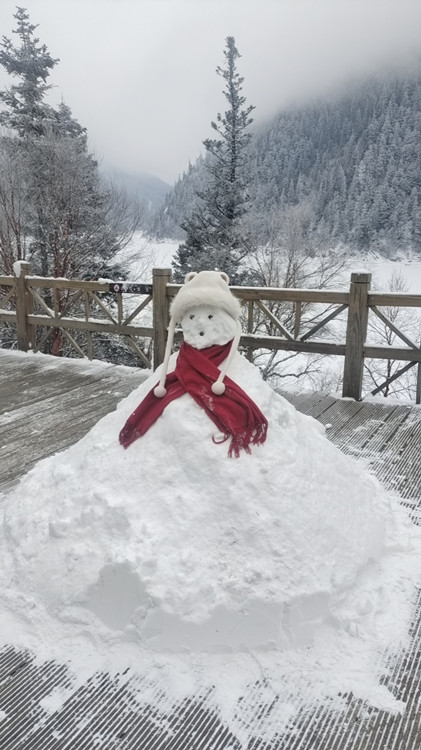 游客堆的雪人。九管局供圖
