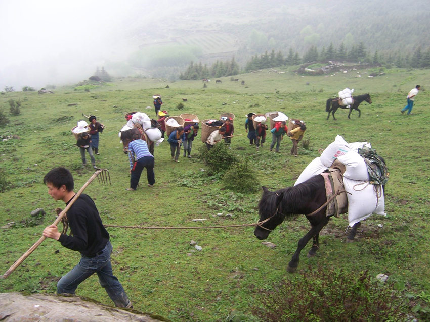 在黃河上游補(bǔ)播牧草。阿壩州委宣傳部供圖