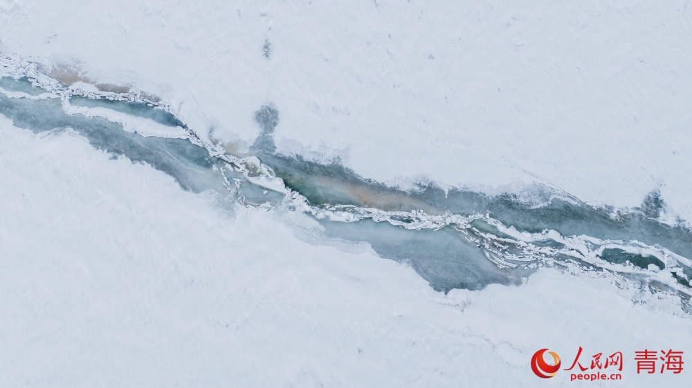漸漸蘇醒的青海湖。人民網(wǎng) 況玉攝