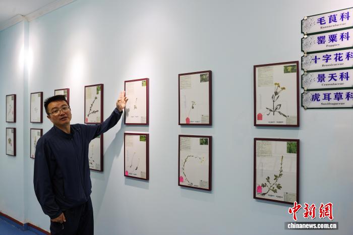 青海班瑪：自然科普館解鎖三江源生態(tài)“密碼”