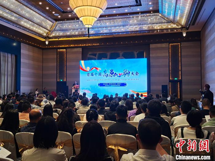 圖為首屆中國高原心胸大會現(xiàn)場。　頓旦旺姆 攝