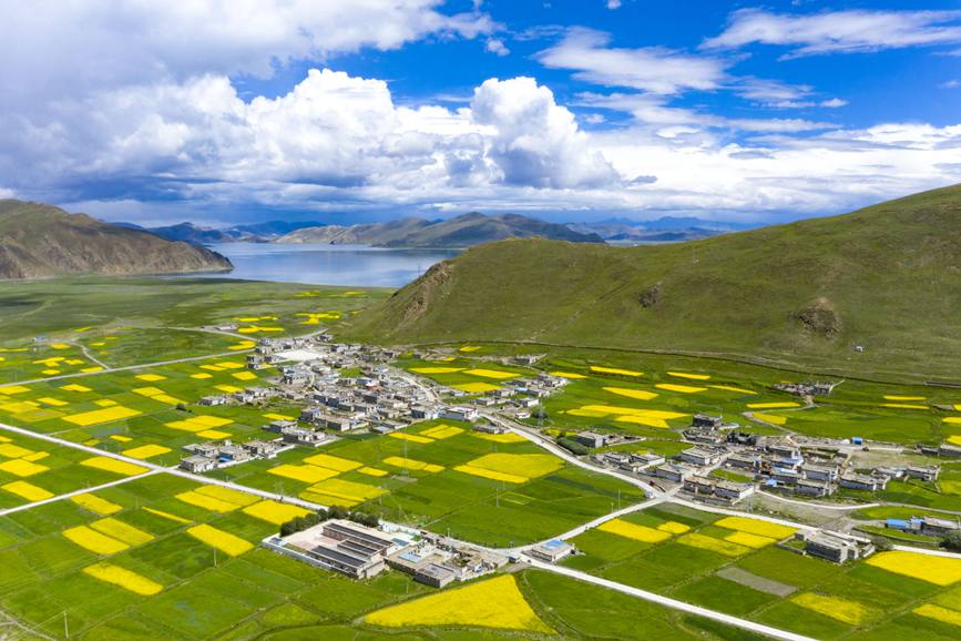 航拍道布龍村，依山傍水，阡陌縱橫。
