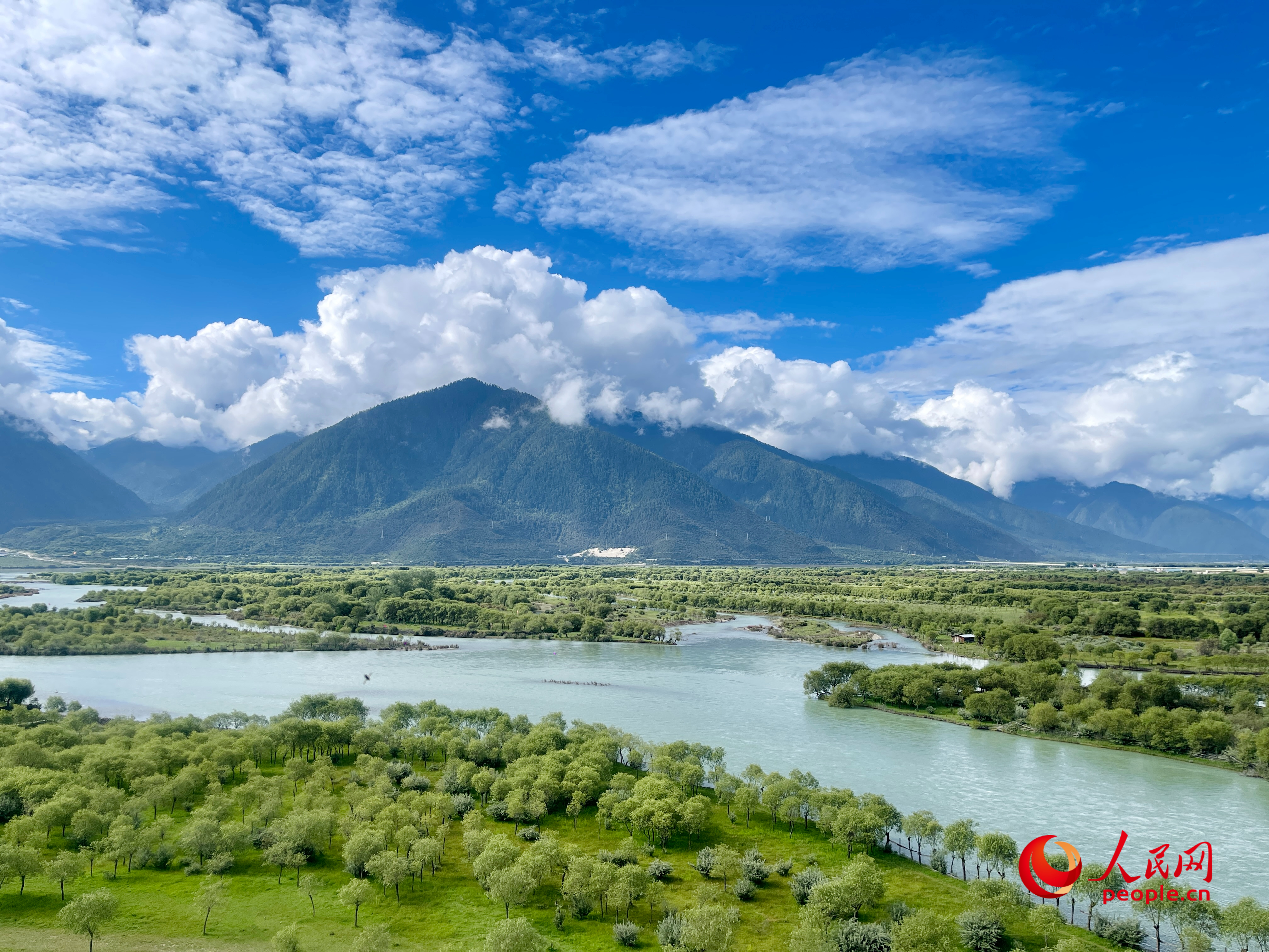 夏日的雅尼國家濕地公園生機(jī)盎然，如詩如畫。人民網(wǎng) 周靜圓攝