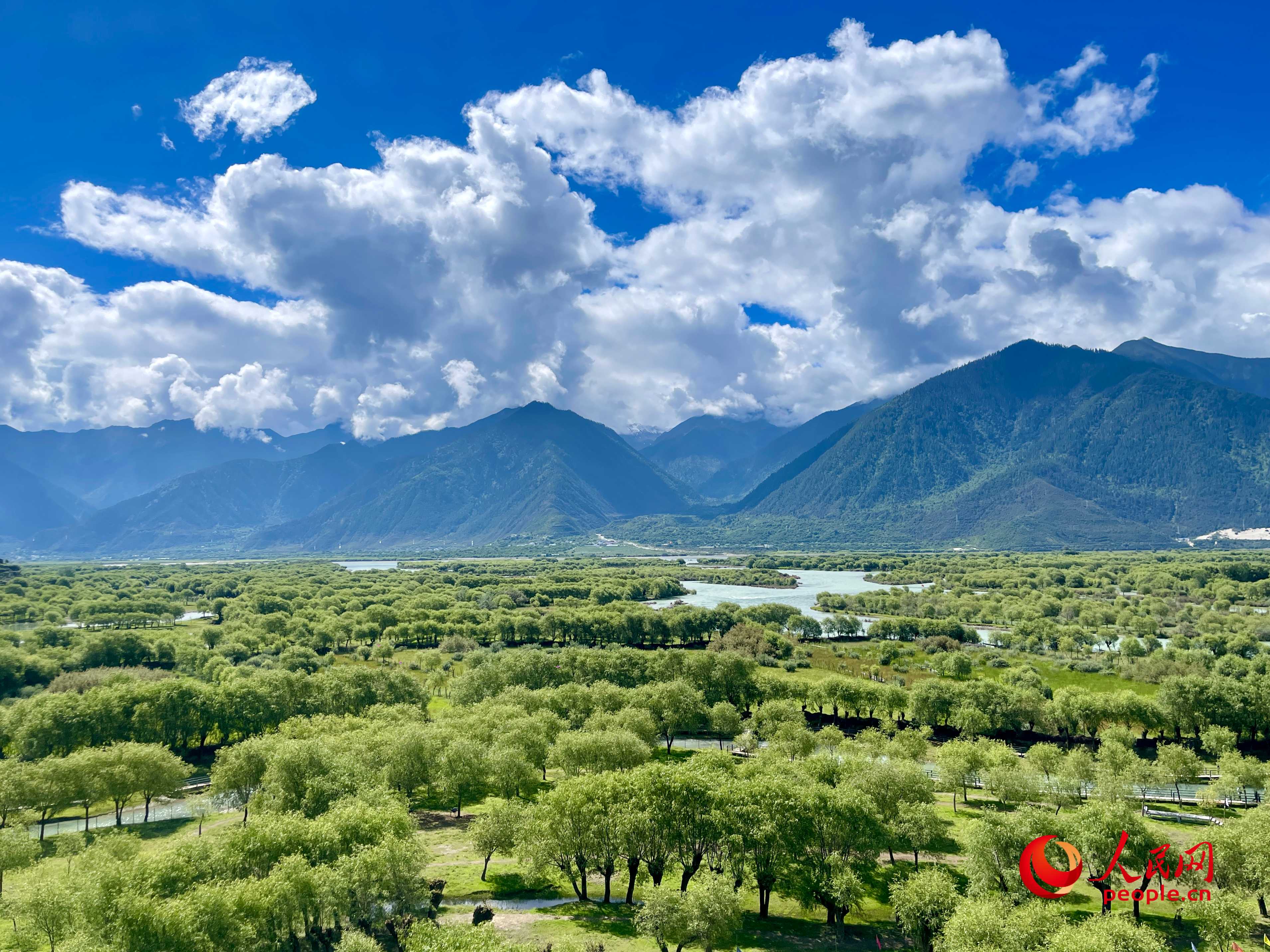 夏日的雅尼國家濕地公園生機(jī)盎然，如詩如畫。人民網(wǎng) 周靜圓攝