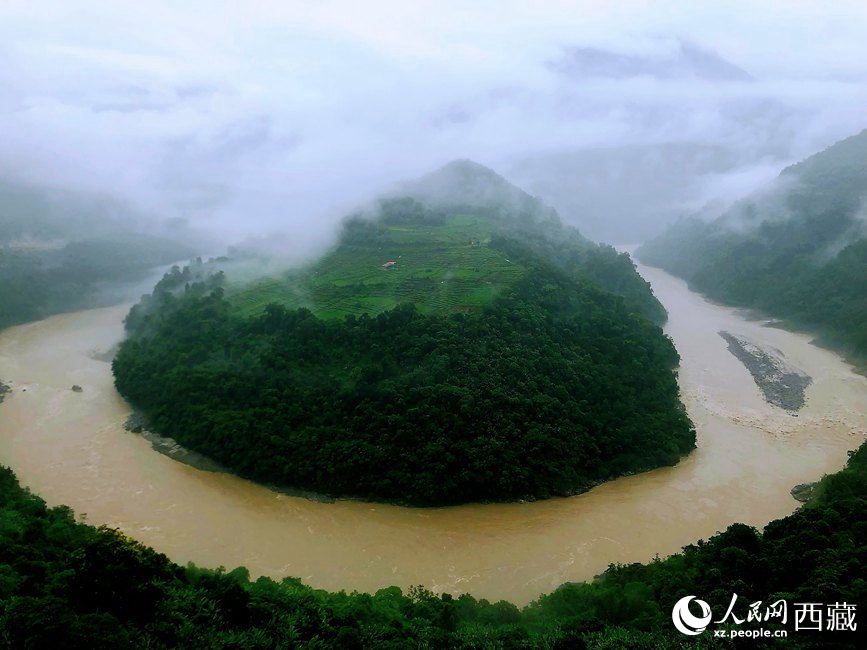 雅魯藏布江大峽谷蛇形拐彎處，山坡上種滿茶樹。