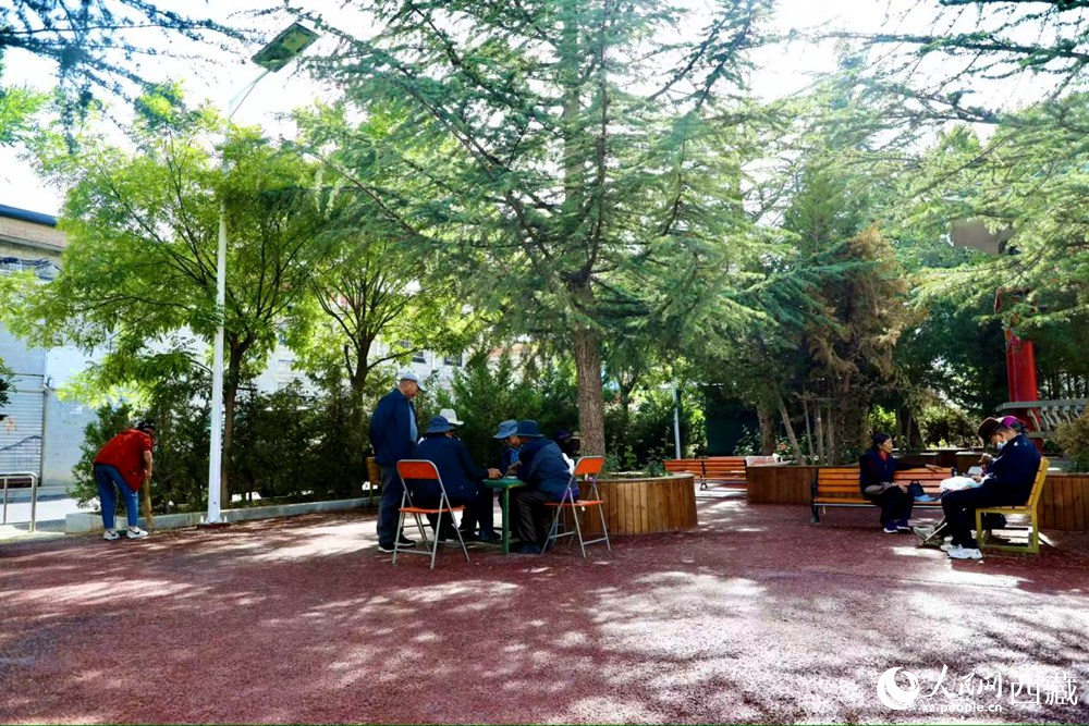 老人們?cè)诰G樹成蔭的“社區(qū)會(huì)客廳”中對(duì)弈休憩。人民網(wǎng)記者 次仁羅布攝