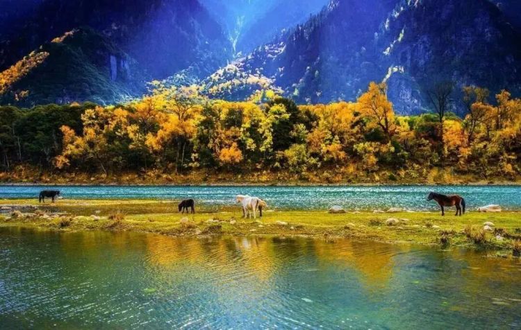 懂西藏的人，一定不會錯過林芝的秋天