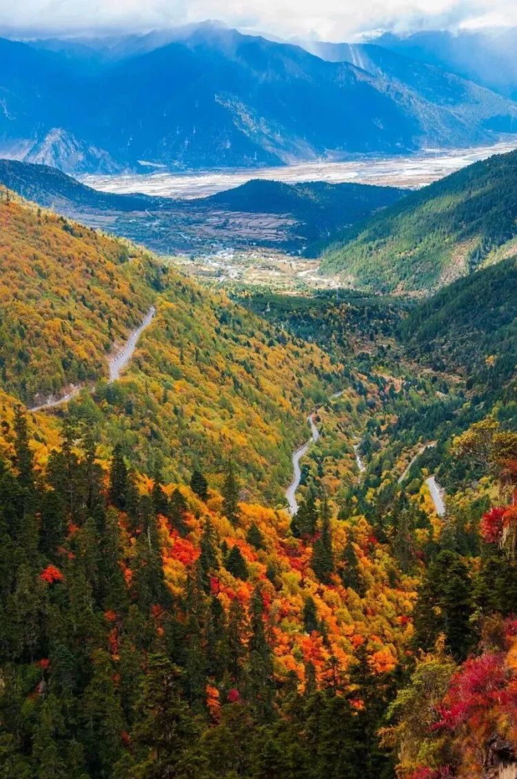 懂西藏的人，一定不會錯過林芝的秋天