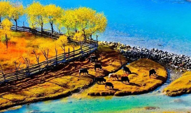 懂西藏的人，一定不會錯過林芝的秋天