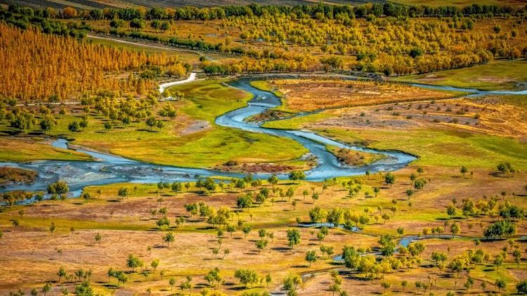 懂西藏的人，一定不會錯過林芝的秋天