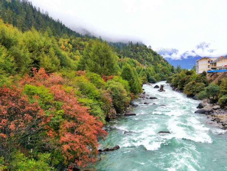 懂西藏的人，一定不會錯過林芝的秋天