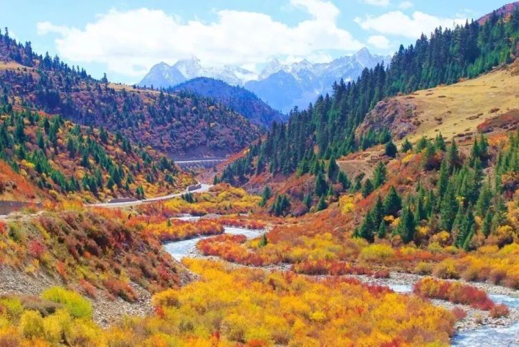 懂西藏的人，一定不會錯過林芝的秋天