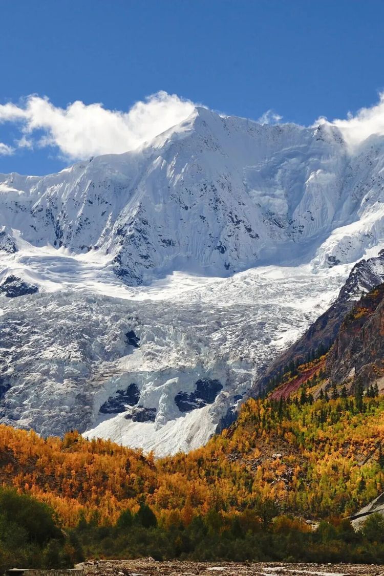 懂西藏的人，一定不會錯過林芝的秋天