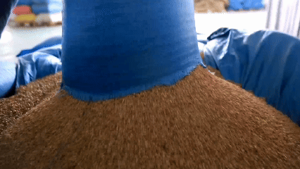 青稞“蛻變”，牦?！俺鋈Α?！看西藏農(nóng)牧民的“十四五”豐收答卷