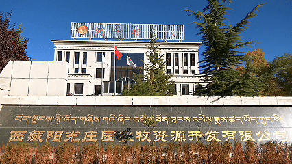 青稞“蛻變”，牦?！俺鋈Α保】次鞑剞r(nóng)牧民的“十四五”豐收答卷