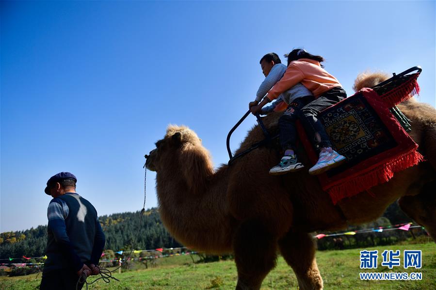 （全面建成小康社會“百城千縣萬村調(diào)研行”·圖文互動）（7）青?？柎澹骸肮夤鞔濉钡娜A麗轉(zhuǎn)身