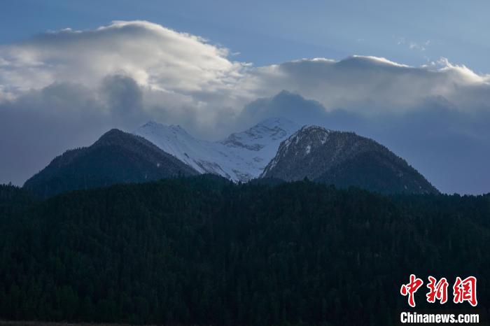 西藏波密縣的原始森林與雪山風(fēng)光?！〗w波 攝