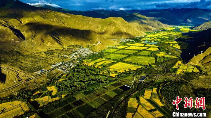 圖為山南雍布拉康附近農(nóng)田?！埼?攝