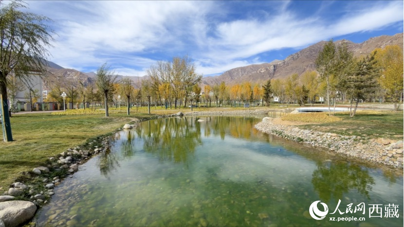 圖為青年林卡公園。人民網(wǎng)記者 次仁羅布攝