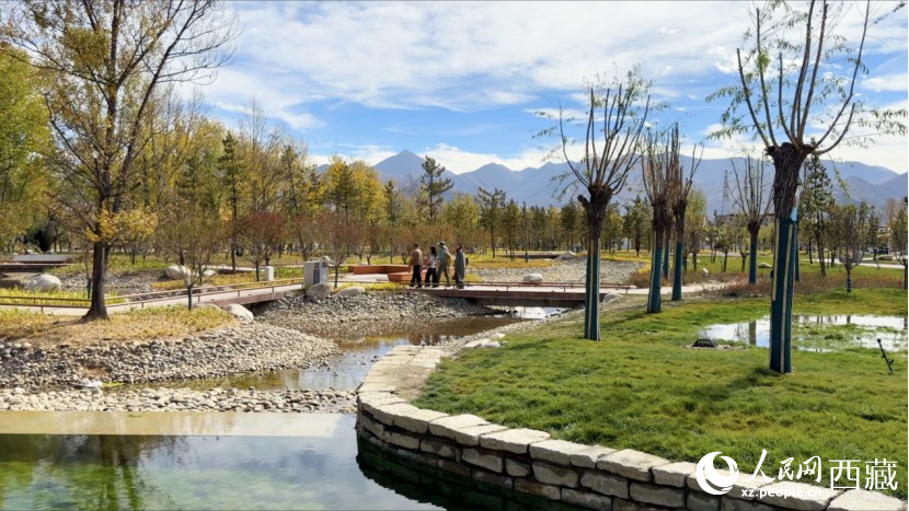 圖為青年林卡公園。人民網(wǎng)記者 次仁羅布攝