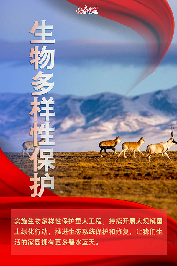海報(bào)| 2021年政府工作報(bào)告，提到這些生態(tài)環(huán)保關(guān)鍵詞