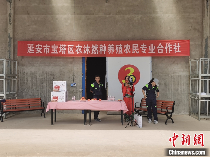 來源：柳林鎮(zhèn)果技園供圖。