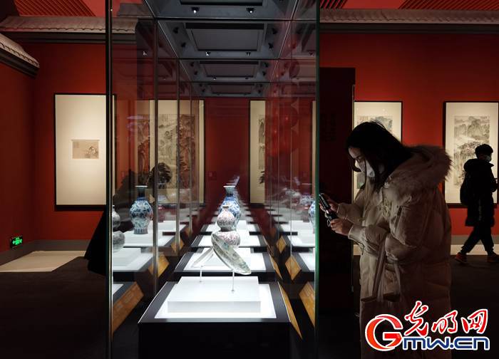 【新春走基層】視頻丨虎年看虎展！來國博感受虎文化